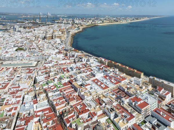 The town of Cádiz with the old quarter in the foreground. Aerial view. Drone shot. Cádiz province,
