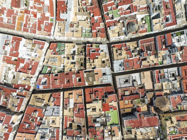 Streets and rooftops in the town of Cádiz. Aerial view. Drone shot. Cádiz province, Andalusia,