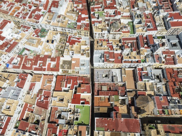 Streets and rooftops in the town of Cádiz. Aerial view. Drone shot. Cádiz province, Andalusia,