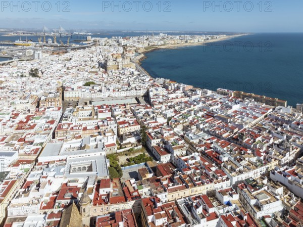 The town of Cádiz with the old quarter in the foreground. Aerial view. Drone shot. Cádiz province,