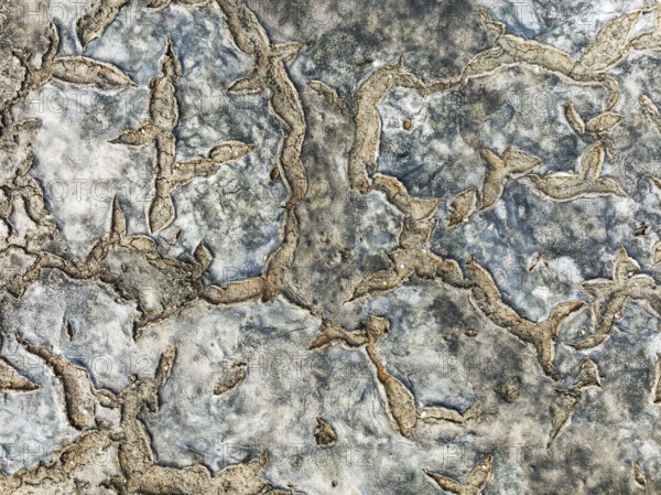 Dried mud in the marshland of the Bahía de Cádiz Nature Reserve. Aerial view. Drone shot. Cádiz