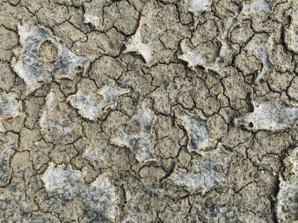 Dried mud in the marshland of the Bahía de Cádiz Nature Reserve. Aerial view. Drone shot. Cádiz