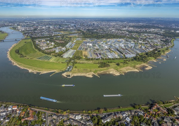 Aerial view, Rhine bend and district Volmerswerth, horticultural farms and agricultural use in the