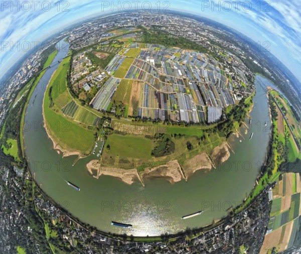 Aerial view, horticulture and agricultural use in the district of Volmerswerth, river Rhine, shapes