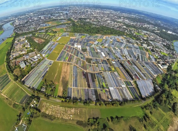 Aerial view, horticulture and agricultural use in the district of Volmerswerth, shapes and colours,