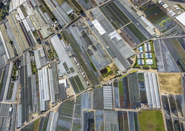 Aerial view, horticultural farms and agricultural use in the district of Volmerswerth, shapes and
