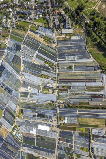 Aerial view, horticultural farms and agricultural use in the district of Volmerswerth, shapes and