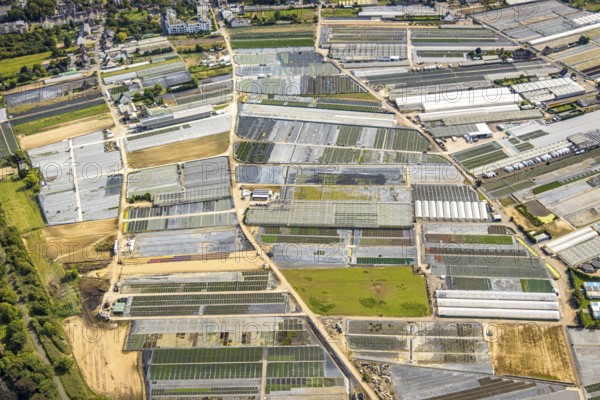 Aerial view, horticultural farms and agricultural use in the district of Volmerswerth, shapes and