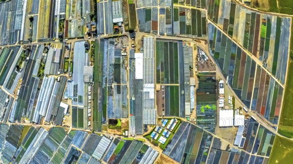 Aerial view, horticulture and agricultural use in the district of Volmerswerth, shapes and colours,
