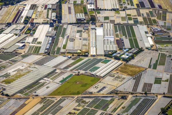 Aerial view, horticultural farms and agricultural use in the district of Volmerswerth, shapes and