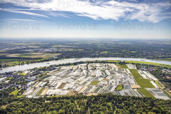Aerial view, horticultural farms and agricultural use in the district of Volmerswerth, shapes and