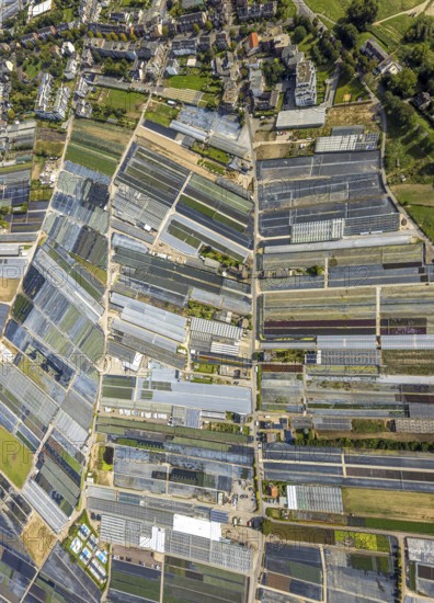 Aerial view, horticultural farms and agricultural use in the district of Volmerswerth, shapes and