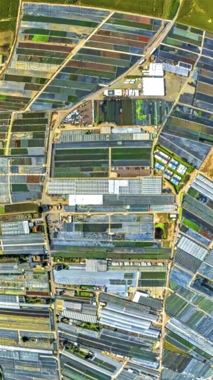 Aerial view, horticulture and agricultural use in the district of Volmerswerth, shapes and colours,