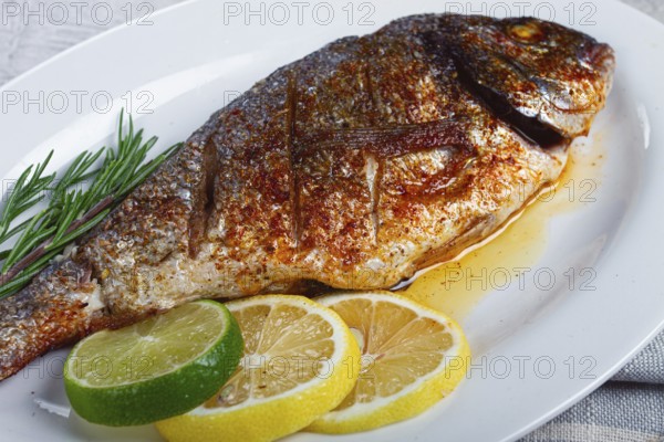 Baked dorado fish, in the oven, fried dorado, with spices and herbs, on a white plate, top view,