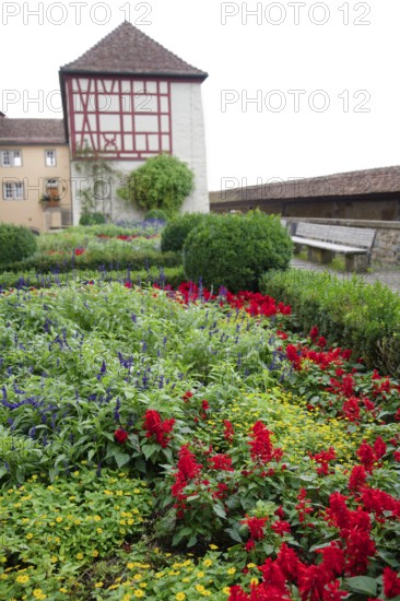Flower bed at Comburg Castle, Benedictine monastery, Way of St James, pilgrimage route, pilgrims,