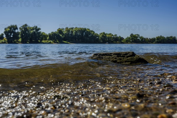 The gentle waves reflect the sunlight while a rock stands in the water. Shoreline vegetation