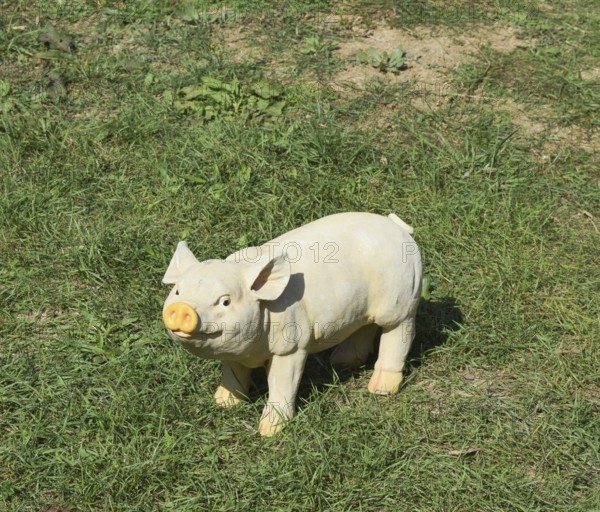 Plastic toy pig. Taman, Krasnodar Krai, Russia
