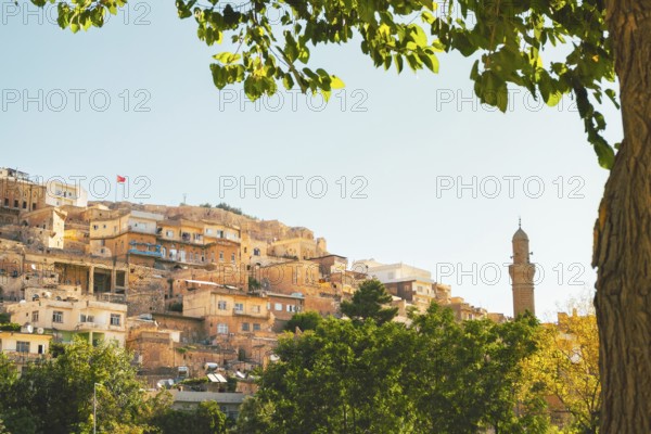 Historic stone houses of Mardin with rising minaret on hillside, framed by tree branches and summer