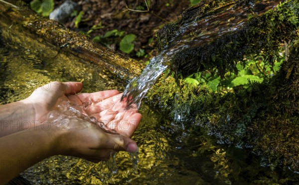 Washing Hands And Catching Fresh Water From A Spring With Clear And Cold Mountain Water, Tyrol,