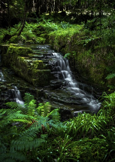 Small Long Exposured Creek With Waterfall In Mystic Forest Near Ullapool In Scotland, United