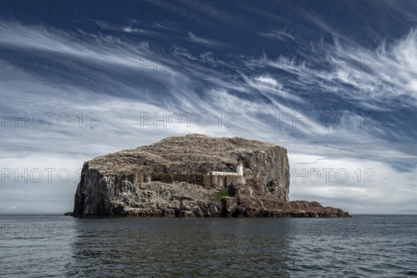 Bass Rock Island With Nesting Northern Gannets (Morus Bassanus) In The Atlantic Ocean Of Firth of
