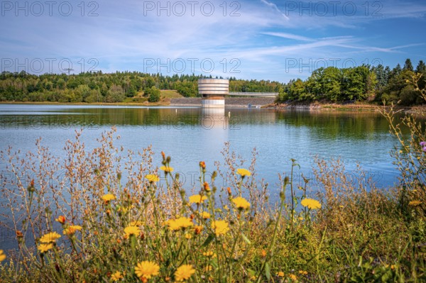 Blooming flowers on the lakeshore with a view of a tower with dam wall and forest in the