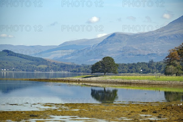 A tranquil loch surrounded by mountains with a peaceful natural landscape in the background, Loch