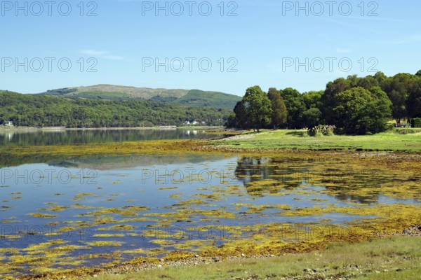 A still loch reflects the blue sky and surrounding green landscape, Loch Eil, Scotland, United