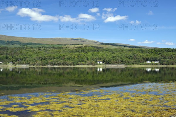 A clear mountain loch reflects the surrounding green hills and blue sky, Loch Eil, Scotland, United