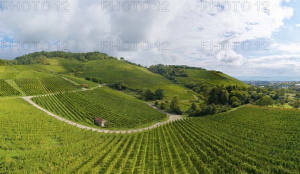 Green vineyards and rolling hills under a cloudy sky, Winterhalde area, Korber Kopf, near the