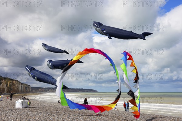Kite festival on the beach, international kite festival, kites in the shape of whales, Dieppe,