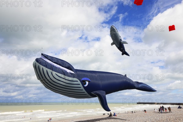 Kite festival on the beach, international kite festival, kites in the shape of whales, Dieppe,
