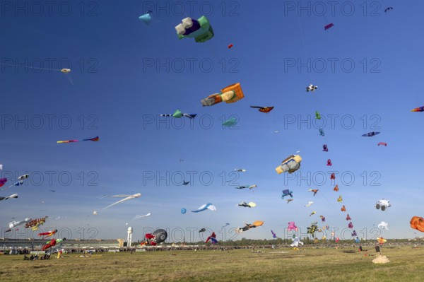 CITY AND COUNTRY Festival of GIANT DRAGONS 2025, 27 September 2025, Tempelhofer Feld, Berlin,
