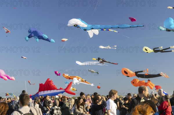CITY AND COUNTRY Festival of GIANT DRAGONS 2025, 27 September 2025, Tempelhofer Feld, Berlin,