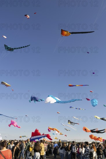 CITY AND COUNTRY Festival of GIANT DRAGONS 2025, 27 September 2025, Tempelhofer Feld, Berlin,