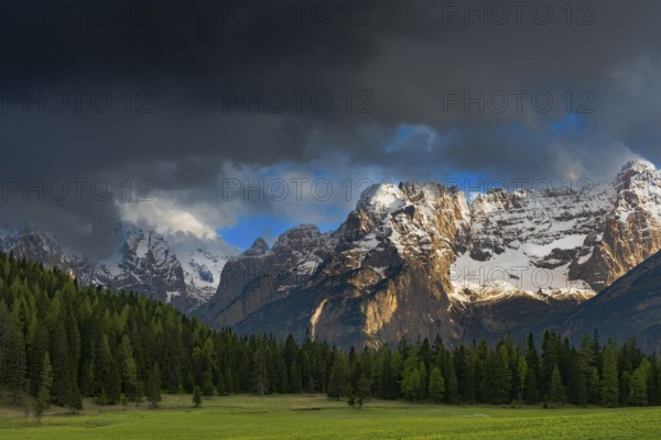 View over a meadow near Misurina to the Sorapis mountain group, Punta Sorapiss, Dolomites, South