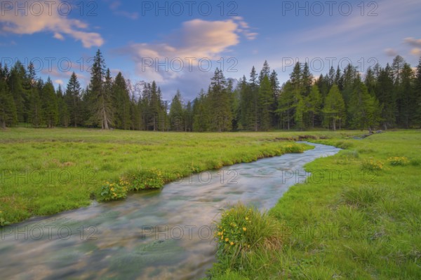 View along the Fiume Ansiei stream over a forest to the Sorapis mountain group in the evening