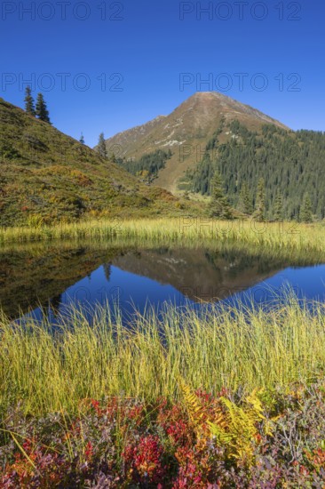 Moor pond at the Kleiner Gamsstein, behind it the Kuhmesser, Kleiner Gamsstein, Tuxer Voralpen,