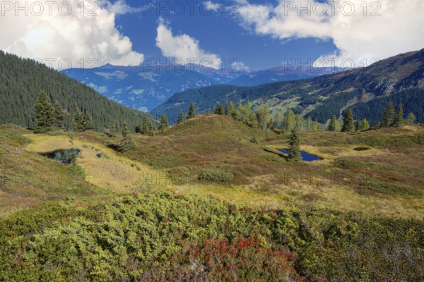Moor pond on the Kleiner Gamsstein, with the Zillertal Alps behind it, Kleiner Gamsstein, Tuxer