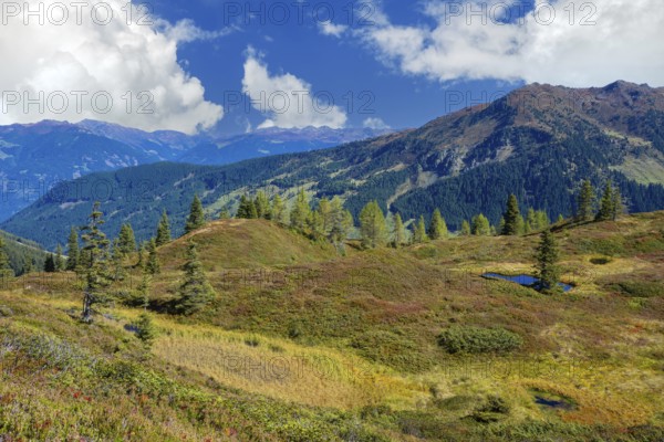 Moor pond on the Kleiner Gamsstein, with the Zillertal Alps behind it, Kleiner Gamsstein, Tuxer
