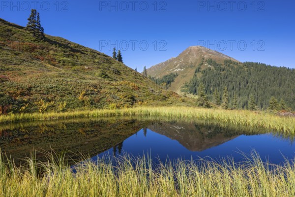 Moor pond at the Kleiner Gamsstein, behind it the Kuhmesser, Kleiner Gamsstein, Tuxer Voralpen,