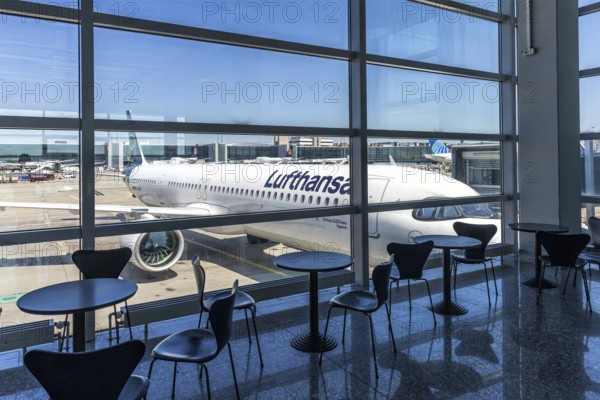 A Lufthansa Airbus A321neo aircraft with the registration number D-AIEM at Frankfurt Airport,