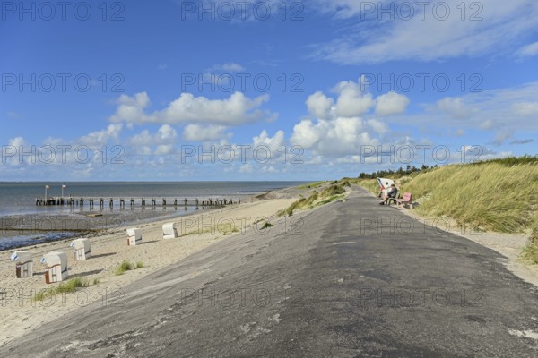 Tar dyke Utersum directly on the Wadden Sea, Föhr, North Frisian Island, North Frisia,