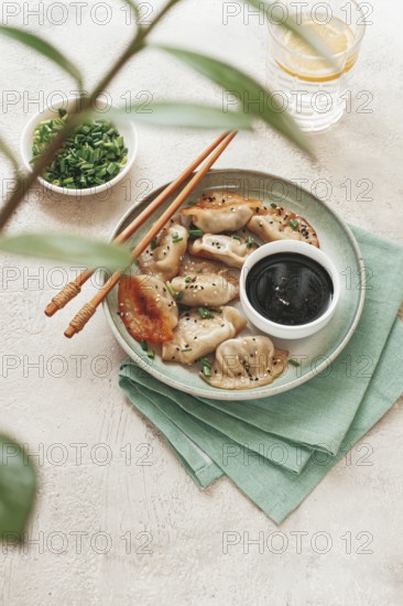 Gyoza Japanese dumplings, fried, with sauce, green onion, and sesame seeds, natural color, light