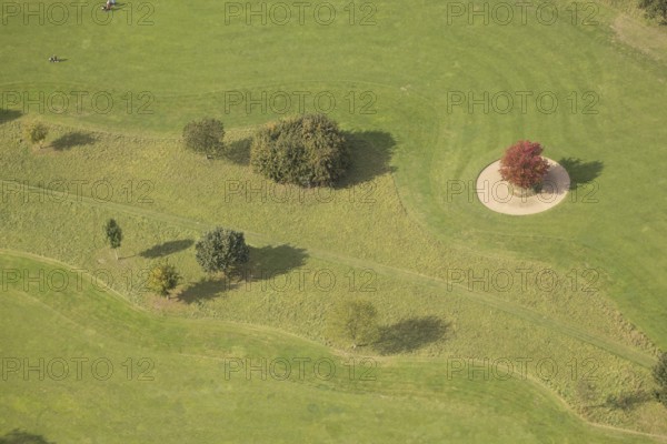Aerial view, red maple tree on a green meadow, An den Höfen, shapes and colours, Bruckhausen,