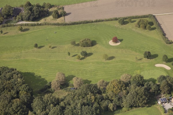 Aerial view, red maple tree on a green meadow, An den Höfen, shapes and colours, Bruckhausen,