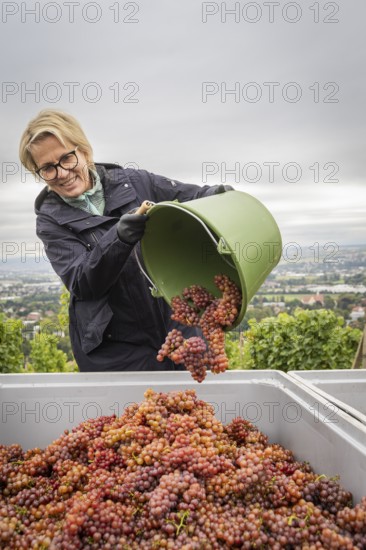 Together with the Saxon Minister of Tourism, Barbara Klepsch, the winegrowers of Schloss