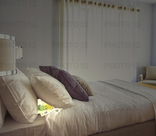 Symbolic image, putting money under your pillow, fantasy hiding places, freezer, shoe cupboard,