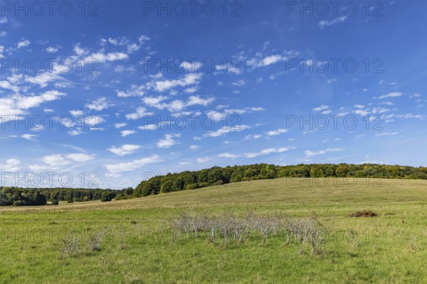 Pristine landscape in the Swabian Alb biosphere reserve with blue skies and small clouds. The