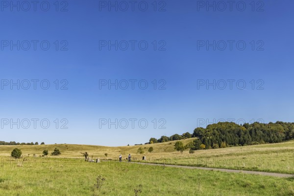 Pristine landscape in the Swabian Alb biosphere reserve with blue skies and small clouds. The